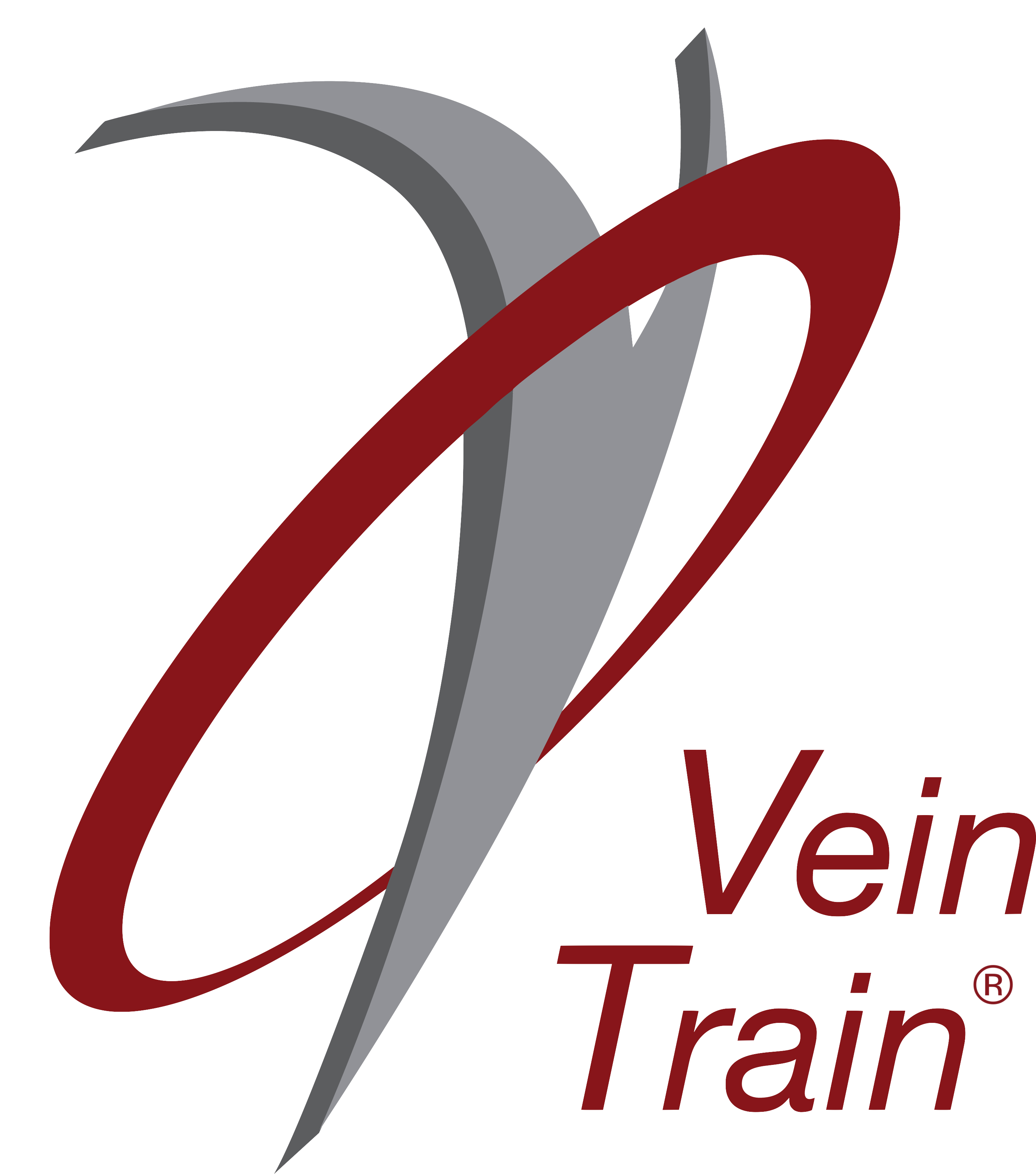 VeinTrain Logo